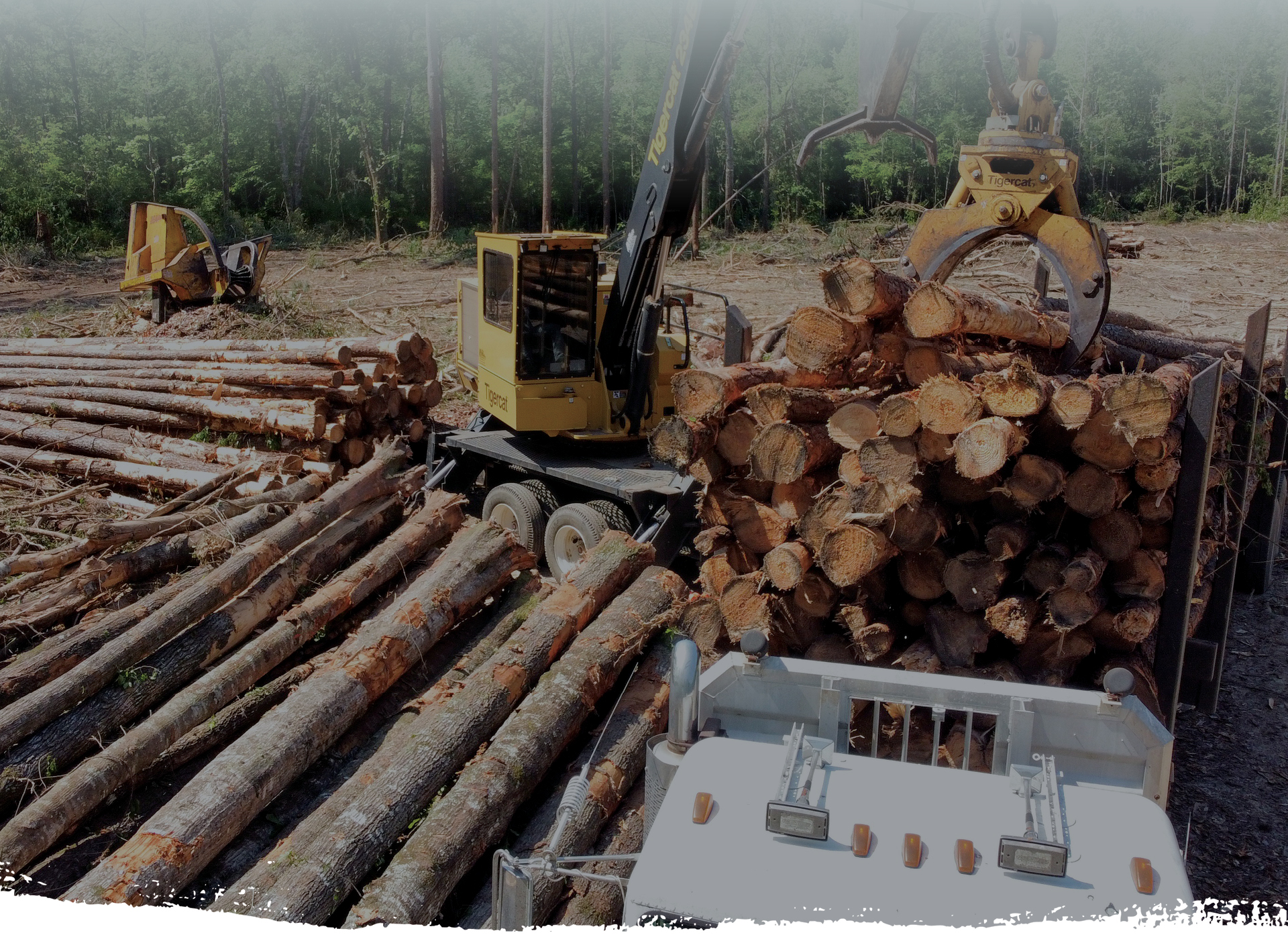 brier creek timber logging